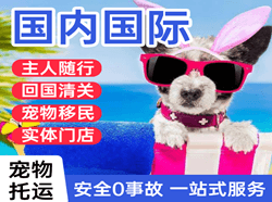 福成航空快运国际宠物托运 【国